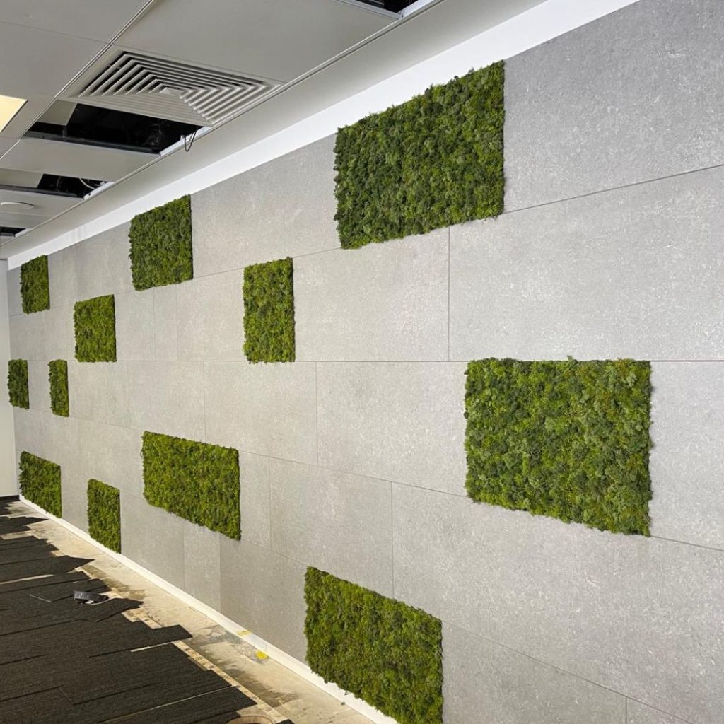 grass wall  photograph spectrum stone and ceramic tiled   